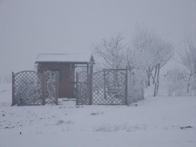 Zima 2009 na działce