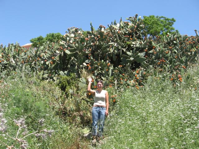 ja wsrod hiszpanskich kaktusow
