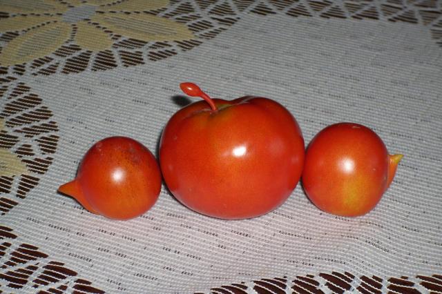 Pomidory ''ufoludki''...