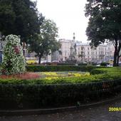 Kwiaty we Lwowie