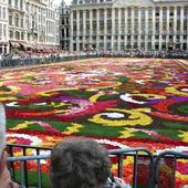 dywan z kwiatów