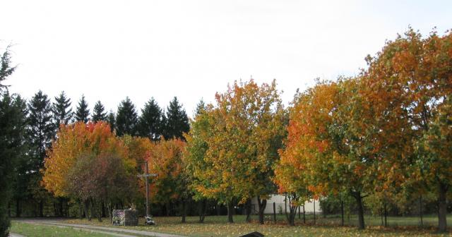 kolory jesieni...