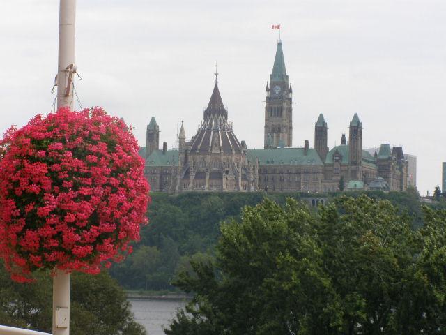 kosz kwiatow na tle budynku parlamentu w Ottawie, Kanada