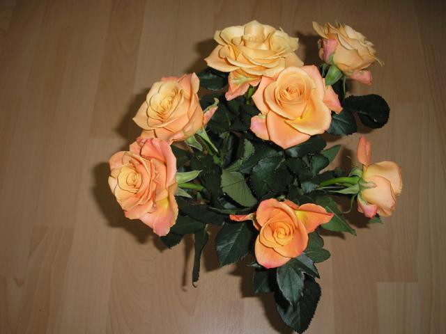 Moje ulubione róże