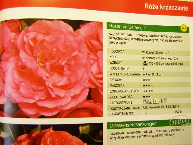 stronnica rózanego katalogu  o rózy Rosarium Uetersen