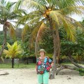 drzewka kokosowe na plazy w Roatan, Honduras