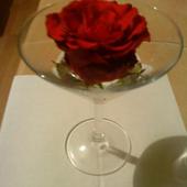 Walentynkowa róża skąpana w lampce szampana