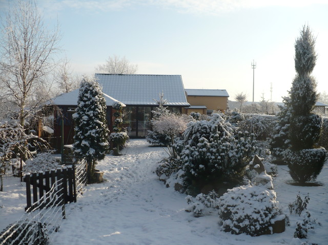 ogród w zimowej szacie;)