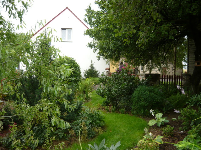 W ogrodzie nie brakuje zielonych ścieżek :)