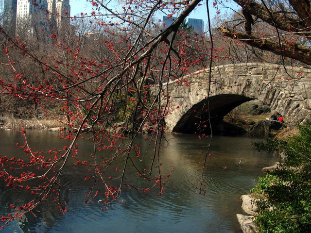 wiosna w Central Park