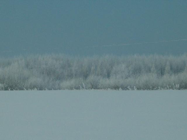 ******zimowy krajobraz****