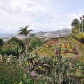 Jardim Botanico Trop