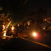 ogród nocą