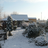 Ogród W Zimowej Sza