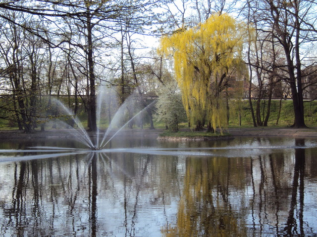 fontanna w parku mojego miasta