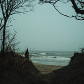 widok z wydmy na morze (Bałtyk)