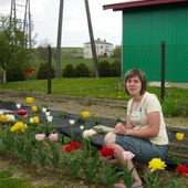 W śród tulipanków