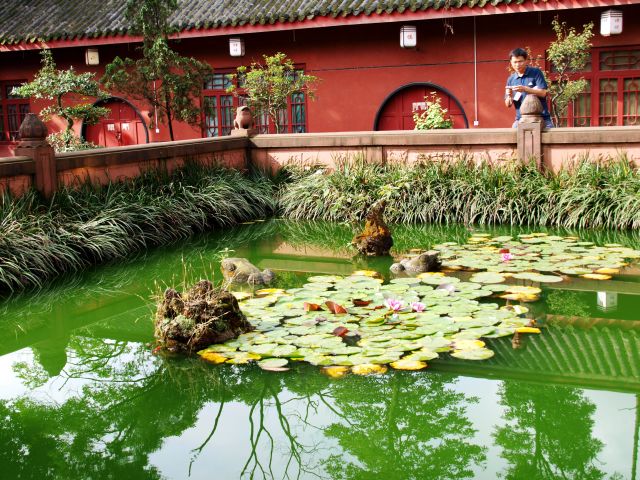 Ogród wodny z Chińczykiem.