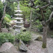 Ogród japoński - Dobrzyca