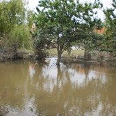 powódź c.d