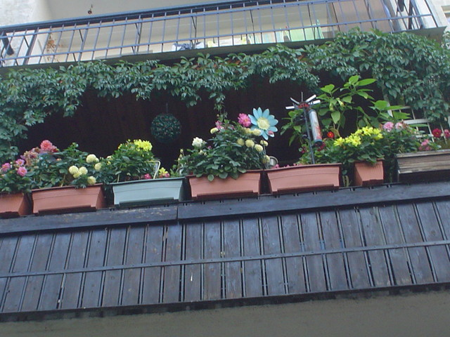 mój balkon