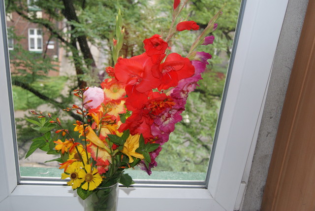 kwiaty z mojego ogródka