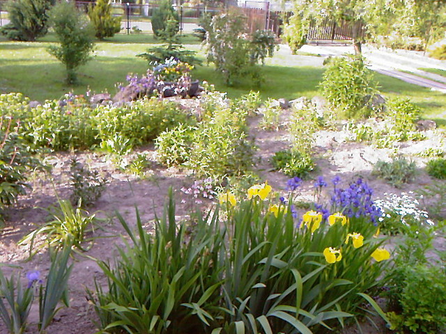 Tak wyglądał mój ogródek na wiosnę tego roku