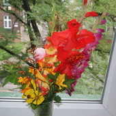 Kwiaty Z Mojego Ogr