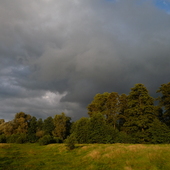 Wieczorne chmury nad łąką