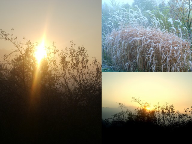 Dzisiejszy wschód słońca w mroznej małopolsce:)