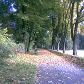 Jesien  w  parku