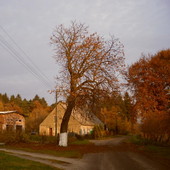 Jesień na wsi