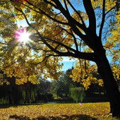 Jesień w parku Julianowskim