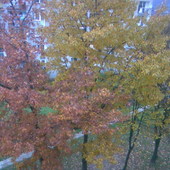 Jesienny widok z balkonu.