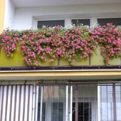 Mój Balkon Z Zewną