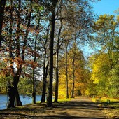Park Julianowski w Łodzi