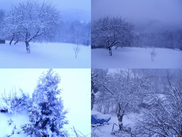 Śnieżny poniedziałek w małopolsce:)