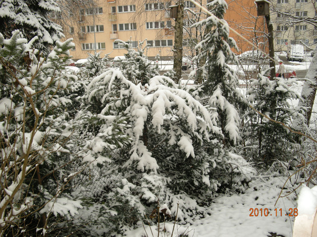 Zima w Warszawie