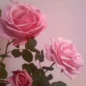 Różano , różowo , różowiutko ....