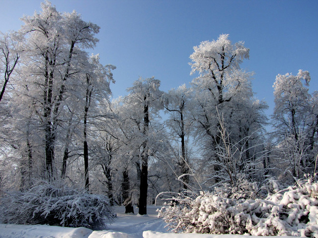 Park w Książu zimą