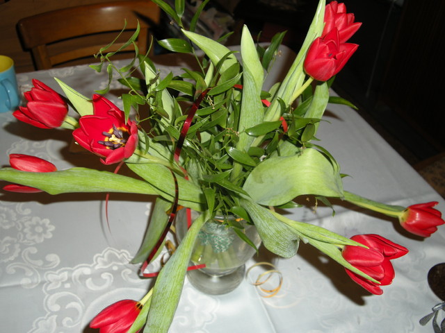 Tulipany imieninowe