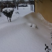 Mój ogród zimowy :)