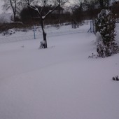 Moj ogród zimowy :)