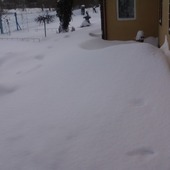 Moj ogród zimowy:)
