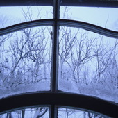 Okno na zimowy sad