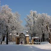 Park w Książu zimą
