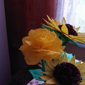 róża narazie żółta;)