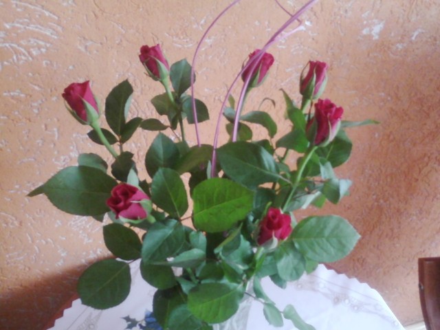 Oby ten Rok był Różami Usłany dla Wszystkich Miłośników Kwiatów :)