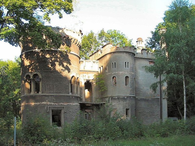 Ruiny pałacu von Tiele-Winckler'ów w Bytomiu-Miechowicach   znajduje się w parku  i pozostanie zamkiem który zawsze mnie ciekawił