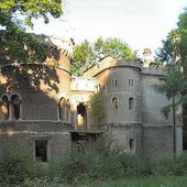 Ruiny pałacu von Tiele-Winckler'ów w Bytomiu-Miechowicach   znajduje się w parku  i pozostanie zamkiem który zawsze mnie ciekawił